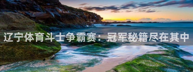辽宁体育斗士争霸赛：冠军秘籍尽在其中