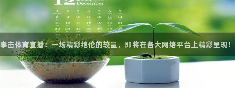 拳击体育直播：一场精彩绝伦的较量，即将在各大网络平台上精彩呈现！