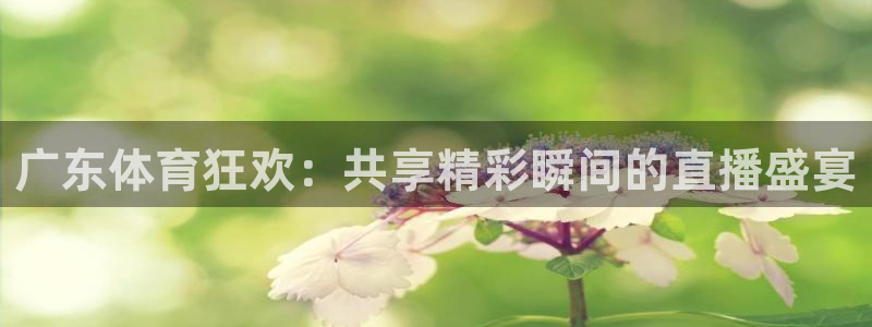 广东体育狂欢：共享精彩瞬间的直播盛宴