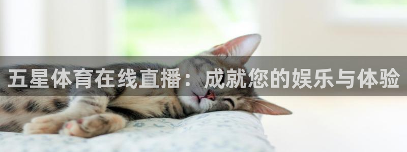 五星体育在线直播：成就您的娱乐与体验