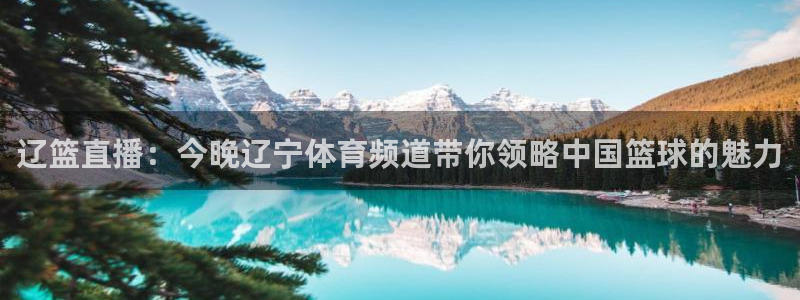 辽篮直播：今晚辽宁体育频道带你领略中国篮球的魅力
