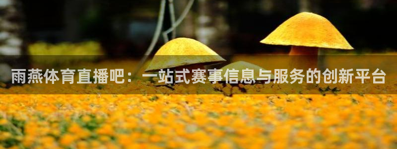 雨燕体育直播吧：一站式赛事信息与服务的创新平台