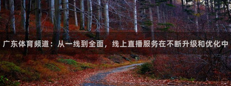 广东体育频道：从一线到全面，线上直播服务在不断升级和优化中