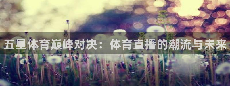 五星体育巅峰对决：体育直播的潮流与未来