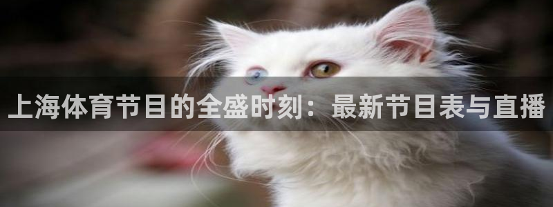 上海体育节目的全盛时刻：最新节目表与直播