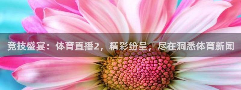 竞技盛宴：体育直播2，精彩纷呈，尽在洞悉体育新闻