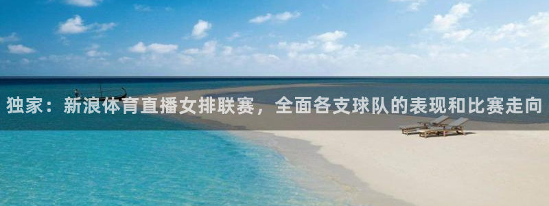 独家：新浪体育直播女排联赛，全面各支球队的表现和比赛走向