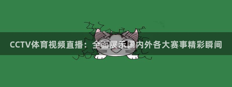 CCTV体育视频直播：全面展示国内外各大赛事精彩瞬间