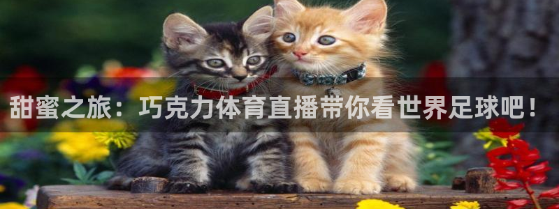 甜蜜之旅：巧克力体育直播带你看世界足球吧！