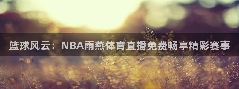 篮球风云：NBA雨燕体育直播免费畅享精彩赛事
